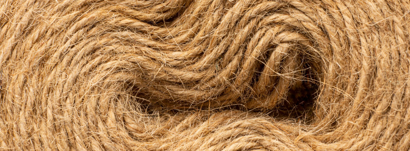 Skein of thread